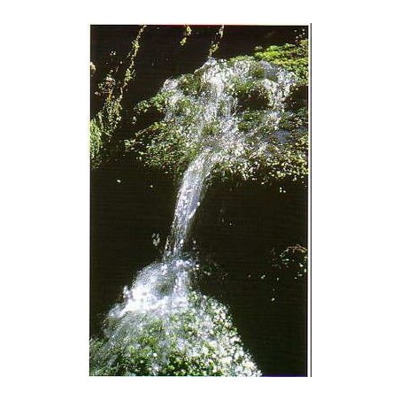 Rock Water -  Agua de Roca 15-30-100 ml.