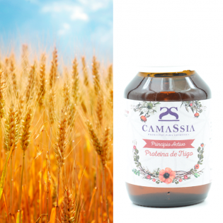 Proteina de Trigo (Queratina Vegetal) 50 ml.