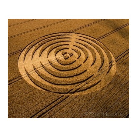 Wheat Circle nº 177