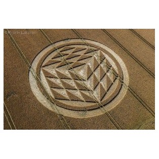 Circulo de Trigo nº 210