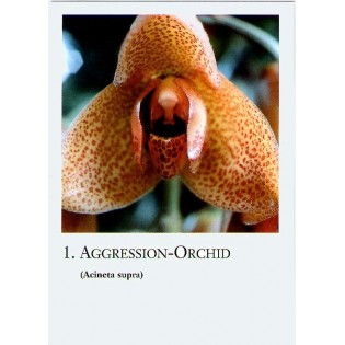 Lettres d'orchidée...