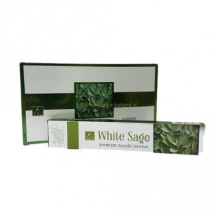 Incense White Salvia