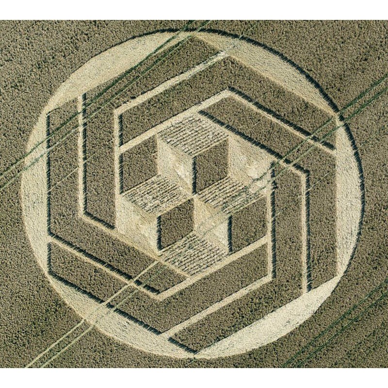 Circulo de Trigo nº 216