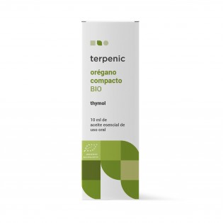 Oregano Compacto Bio - Terpenico