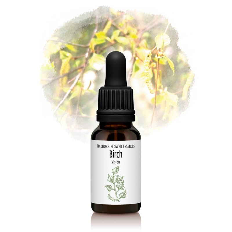 Birke - Abedul 15 ml.