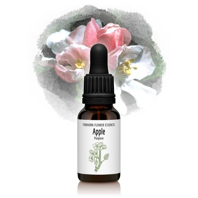 Apfel - Apfel 15 ml.