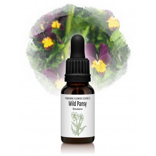 Wild Pansy - Thought 15 ml.