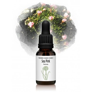 Mare Rosa - Armenia Mari 15 ml.