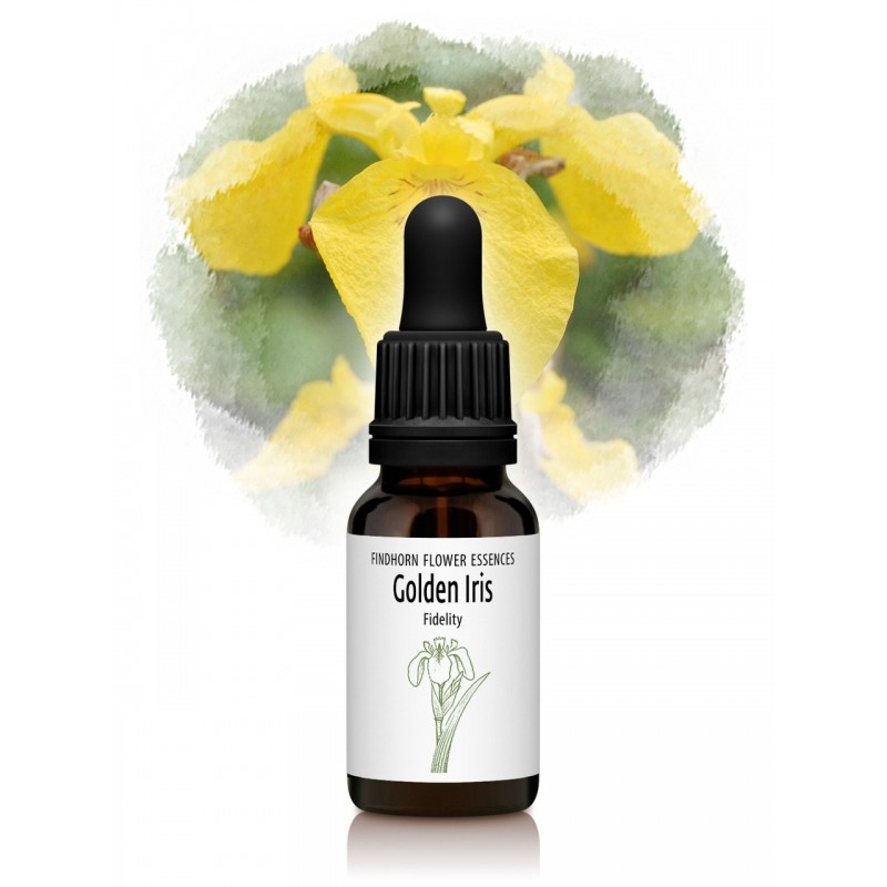 Iris Dourado - Lirio Dorado 15 ml.