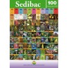 Revista Sedibac nº 100 "Edicion Especial"