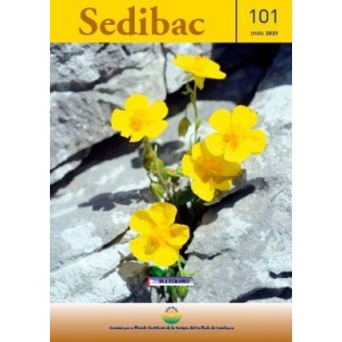 Sedibac Magazine No. 101