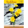 Sedibac Magazine No. 101