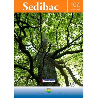 Sedibac Magazin Nr. 104