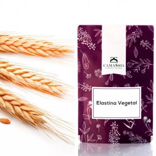 Elastina Vegetale 10 gr.
