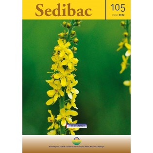 Zeitschrift Sedibac Nr. 105