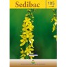 Revista Sedibac No 105