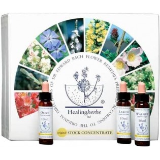 Kit 40 Essenzen Heilkräuter 10 ml.