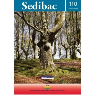 Revista Sedibac nº 110