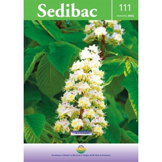 Revista Sedibac nº 111