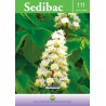 Revista Sedibac nº 111
