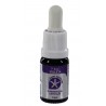 Rayo 7º Violeta - 10 ml.