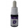 Yo Soy nº 2 Cuerpo Vital - 10 ml.