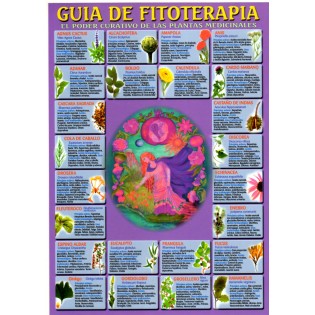 Lamina Guia Fitoterapia