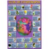 Lamina Guia Fitoterapia