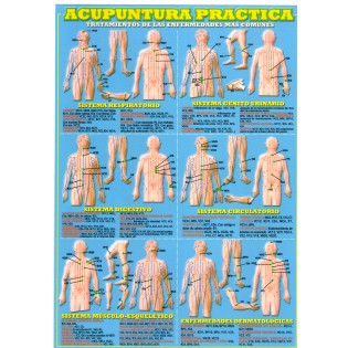 Lamina Acupuntura Practica