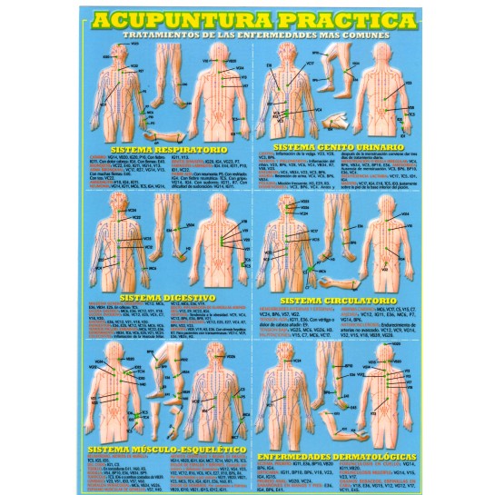 Lamina Acupuntura Practica
