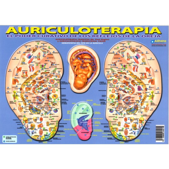 Lamina Auriculoterapia