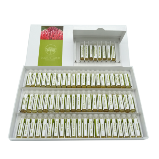 Tester Bush Australia