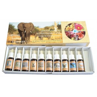 Kit Esencias Animales Africanos 1