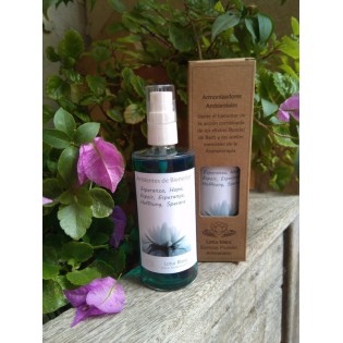 Spray Ambientador "Esperanza" 100 ml.