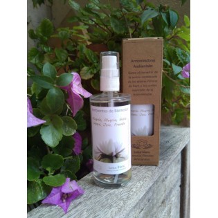 Spray Ambientador "Alegria" 100 ml.