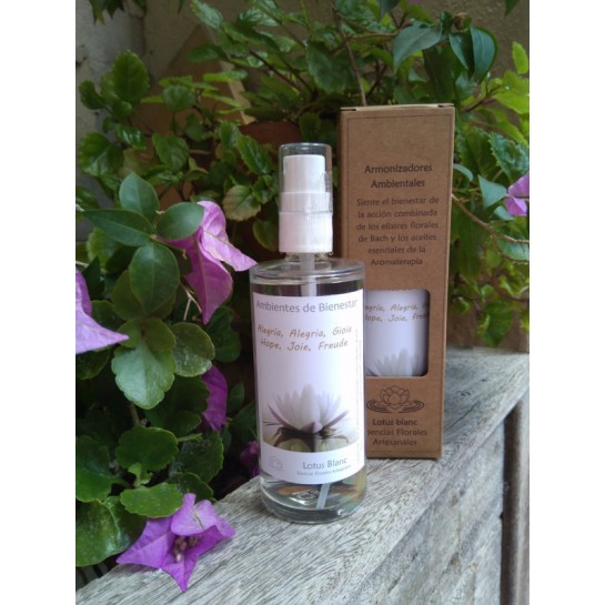 Spray Ambientador "Alegria" 100 ml.