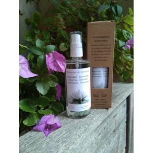 Spray Ambientador "Seguridad" 100 ml.