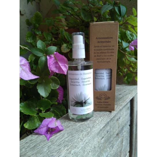 Spray Ambientador "Seguridad" 100 ml.