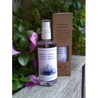 Spray Ambientador "Sabiduria" 100 ml.