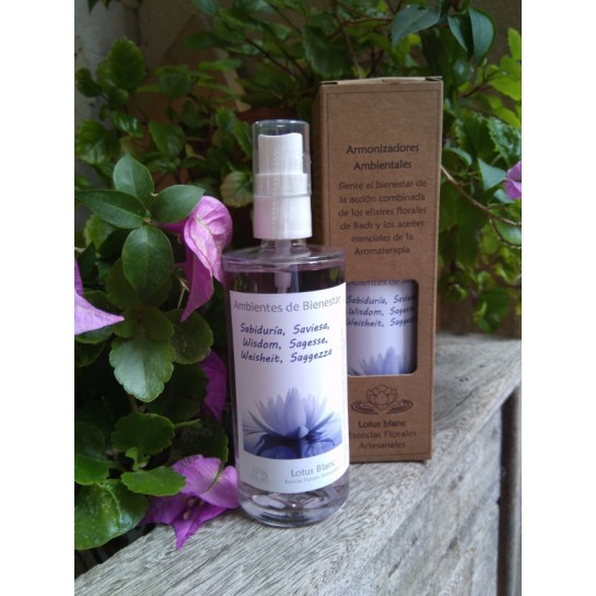Spray Ambientador "Sabiduria" 100 ml.
