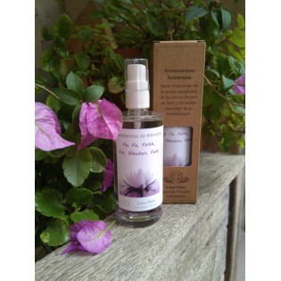 Spray Ambientador "Fe" 100 ml.