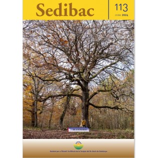 Revista Sedibac 113
