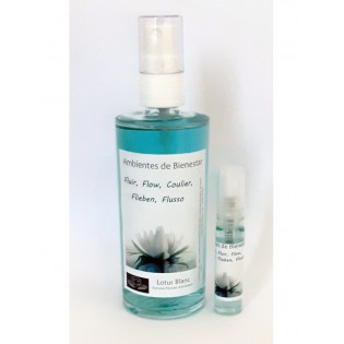 Spray Ambientador "Fluir" LB