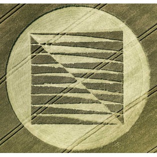 copy of Circulo de Trigo nº 222