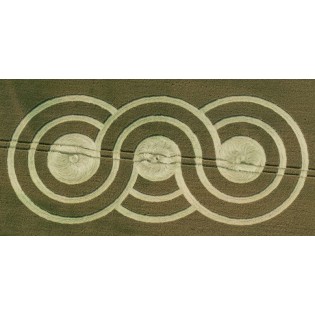 Circulo de Trigo nº 231