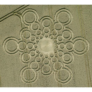 Circulo de Trigo nº 243