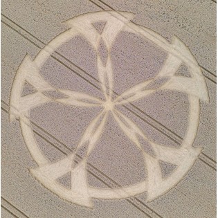 copy of Circulo de Trigo nº 222