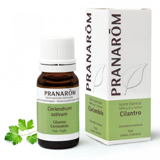Cilantro 10 ml  PR