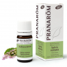 Salvia Esclarea Bio 5 ml PR