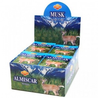 Cones Musk 10 unidades